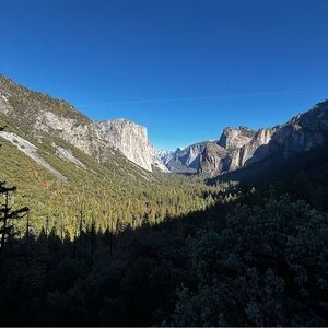 Meet your Posher, V!